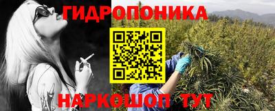 трава Лесосибирск